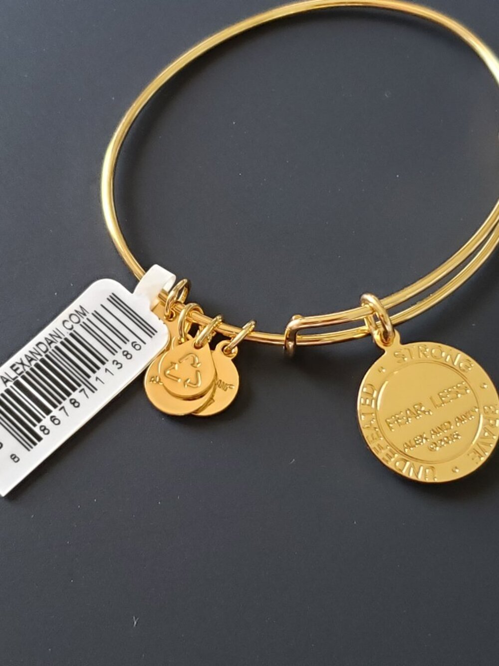 NWT Alex and Ani Fearless Life is Good Bangle 756 - Picture 6 of 7